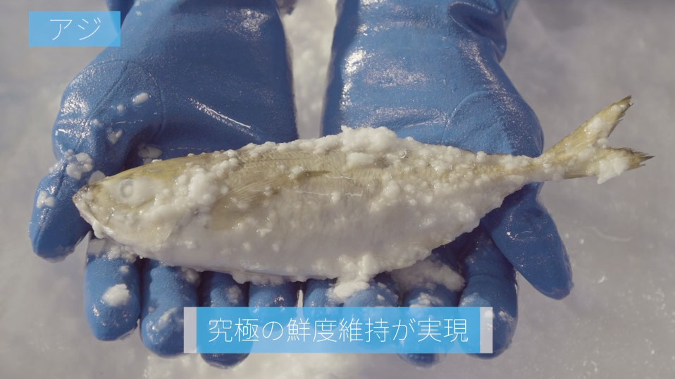 ラックランド ハイブリッドアイス紹介動画